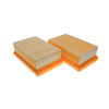 VACS Hepa filter KÄRCHER WD 6 PREMIUM - 2 kom