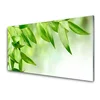 tulup.si Slika na steklu Green leaves narava 140x70 cm 2 obešalnika
