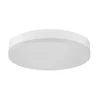 MASTER Plafonjera LED 24W okrugla