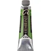 Rembrandt Oil Paint 40 ml Cinnabar Green Medium