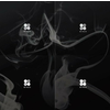 BTS - Wings (Vol 2) (Random Cover) (CD)