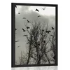 Plakat jata vran - 60x90 no frame
