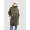 Patagonia Downdrift Parka basin green