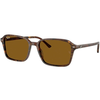 Ray-Ban Raimond Naočare za sunce RB 2231 141833