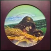 Grateful Dead - Wake Of The Flood (Anniversary Edition) (Picture Disc) (LP)