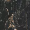 Marquina Gold Rett Lap59.7x59.7cm