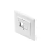 Face plate for Keystone Modules, straight 50x50 central plate, 80x80 frame, 2xkeystone