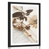 Plakat s paspartujem zbirka starih pisem - 20x30 white