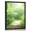 Plakat steza na Sejšelih - 40x60 black