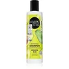 Naravni šampon za lase – Zdravi lasje 280 ml