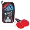 Stoni tenis set ( 1042342 )