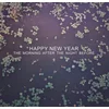 Happy New Year - The Morning After The Night Before (LP)