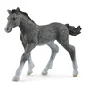 Schleich Žrebe, Trakehner