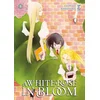 white rose in bloom