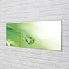 tulup.si Slika na steklu Drop listov sonce 140x70 cm 4 obešalnika
