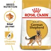 Royal Canin | Adult German Shepherd hrana za odrasle pse