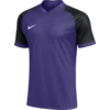 Nike Dres Dri-FIT Trophy VI
