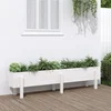 Vidaxl Visoka greda bela 160x30x38 cm trdna borovina