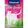 Vitakraft Trava za mačke VITAKRAFT - semena, 50 g