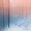 ACHIMMADANG Meller Maciej - Zenith Acoustic (LP)