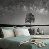 Samolepiaca fototapeta čiernobiela hviezdna obloha nad osamelým stromom - 147x99