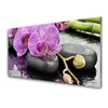 tulup.si Slika na steklu Orchid orchid zen spa 100x50 cm 2 obešalnika