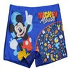 Stamion kupaći Mickey, dečaci