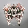 Crystal Lake - The Weight of Sound (Grey Coloured) (LP)