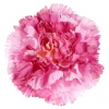 eoshop Nagelj, barva roza. Umetna roža vezava. Cena za paket 12 kosov KUM3420-PINK
