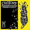 Chiens - Trendy Junky (LP)
