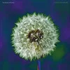 The Bevis Frond - Focus On Nature (2 LP)