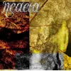 Neaera - The Rising Tide Of Oblivion (LP)