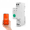 shumee Rele za DIN letev z meritvijo - zigbee