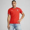 Mens Puma Portugal 2025 Home Jersey, Red, Size XS, Clothing
