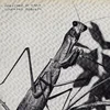 Courtney Barnett - Creature Of Habit (USA) (LP)