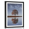 Plakat s paspartujem zvezdnato nebo nad osamljenim drevesom - 30x45 no frame