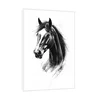 Canvas Slika na platnu Crni konj, 30x45cm, Sa ramom, Beli