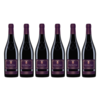 Vinarija Aleksandrović Prokupac crveno vino, paket vina, 6 boca