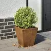 Vrtna sadilica antracit 30x30x30 cm Pohabani čelik
