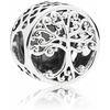Pandora Srebrna kroglica Družinske korenine 797590 srebro 925/1000