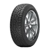 Riken Snow ( 195/60 R15 88T )