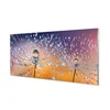 tulup.si Slika na steklu Kapljice makro regrat 100x50 cm 4 obešalnika