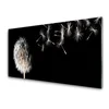 tulup.si Slika na steklu Dandelion flower drops 120x60 cm 2 obešalnika