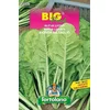 BLITVA LISTNA MANGOLD BIG PACK 20gr