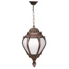 Opviq Spoljna lampa BFE-68202-BKR-OP, 50 cm, Viseća, IP65, E27, 60W, Braon