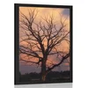 Plakat čudovito drevo na travniku - 40x60 no frame
