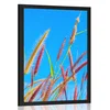 Plakat divja trava pod modrim nebom - 30x45 white