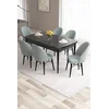 Hanah Home Set Trpezarijski sto i 6 stolica Roz, Zeleno-crni