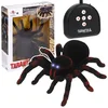 Nobo Kids VELIKI PAJEK TARANTULA NA DALJINSKO UPRAVLJANJE Z SVETLEČIMI OČMI IN LED DALJINSKIM UPRAVLJALNIKOM