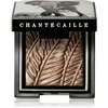 Chantecaille Luminescent Eye Shades biserna senčila za oči Elephant 2.5 g